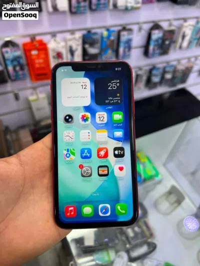 ايفون 11 العادي 3