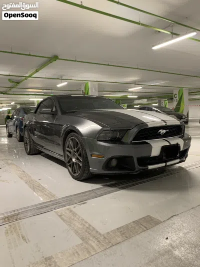 Ford Mustang Standard 3