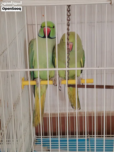 undefined 3