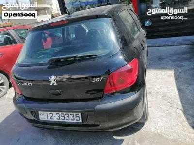 Peugeot 307 Base 3