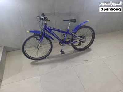 Suzuki Other 2
