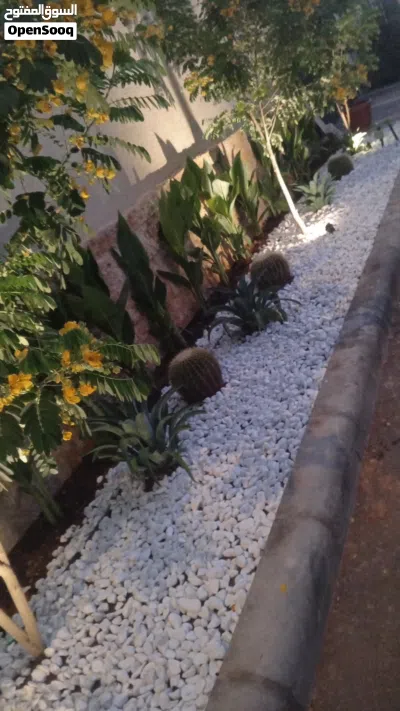 صيانه الحدائق 3