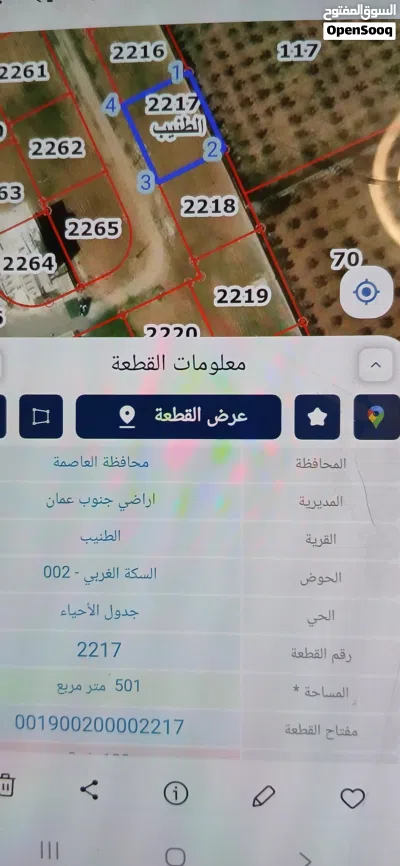 الطنيب شارع المطار 2