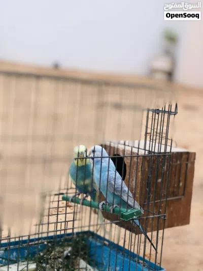 undefined 4
