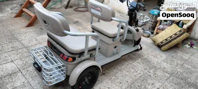 دراجة ثلاثية شحن 4