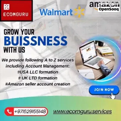 Ecommerce Training Online Earning Money with Amazon Walmart Ebay USA 2