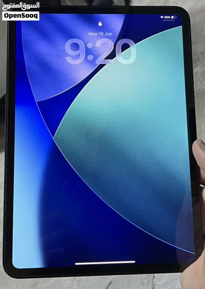 Ipad pro 11 m4 256GB 3