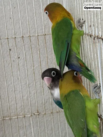 undefined 2