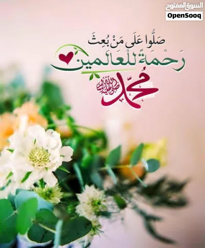 شقه للبيع في السالمية 3