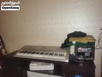 Lk-270 casio 2