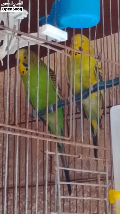 undefined 2