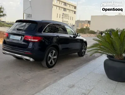 Mercedes Benz GLC-Class GLC 300 2
