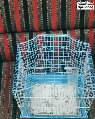 bird cage for sale or exchange 2