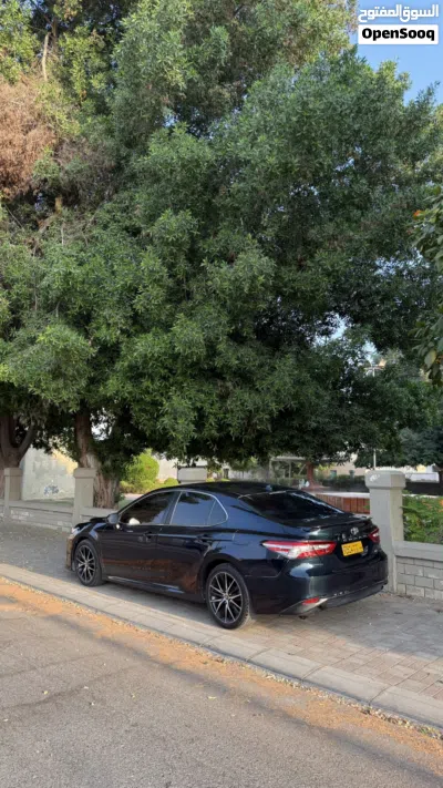 Toyota Camry LE 4
