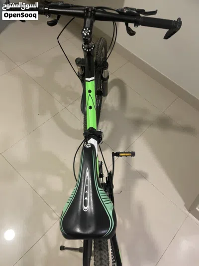 Bicycle Thunderbird-R 4