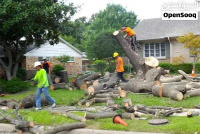 cleaning,shifting,tree trimming and demolition services cleaning service house deep cleaning house 2