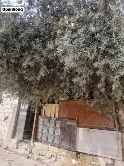 undefined 2