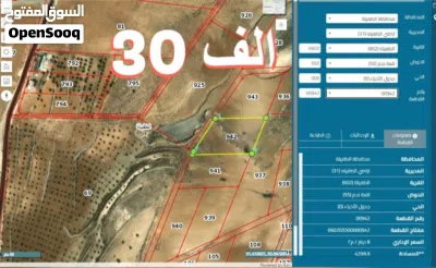 ارضي بأسعار ممتازة و مغرية للبيع في محافظة الطفيلة من المالك مباشرة بأسعار رخيصة جدآ جدآ 2