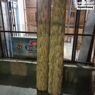 undefined 3