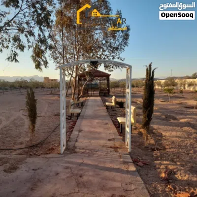 undefined 4