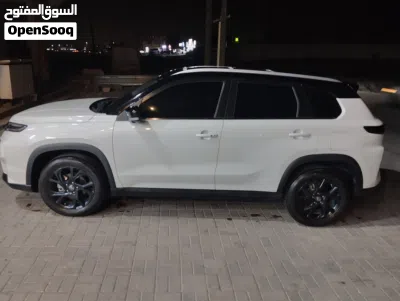 Toyota Urban Cruiser GLX 4