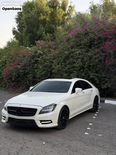 Mercedes Benz CLS-Class CLS 350 2