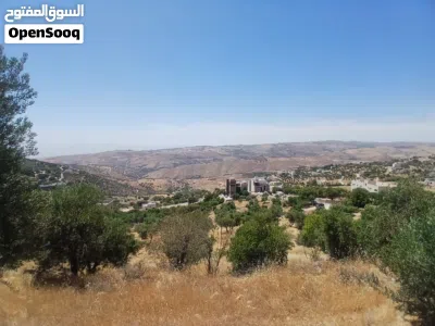 أرض سكني للبيع في ماحص - بموقع مميز 3