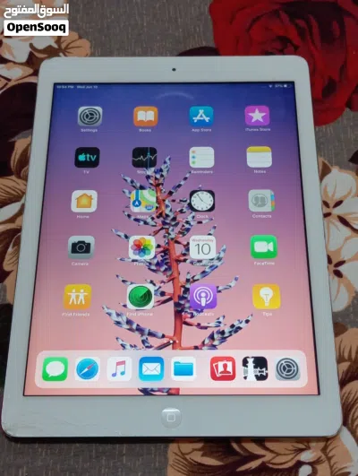 ipad air 1 2