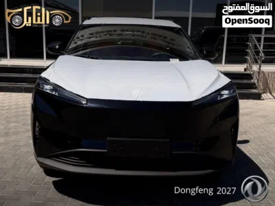 Dongfeng Sky EV01 3