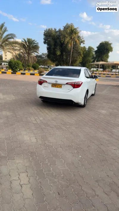 Toyota Corolla SE 4