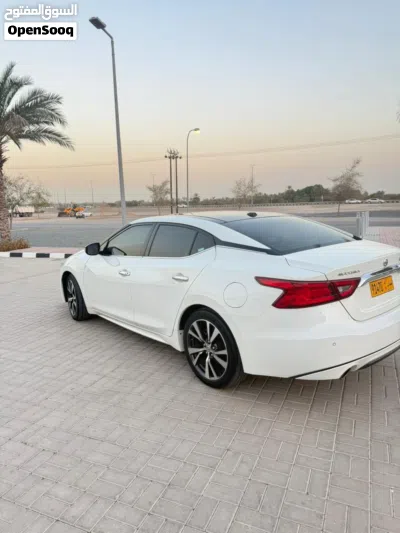 Nissan Maxima SV 3