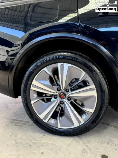 Hongqi E-HS9 4