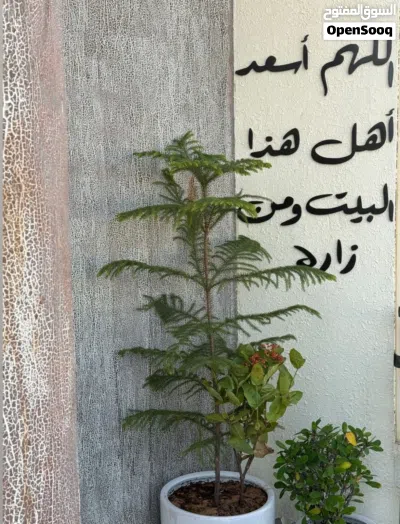 عبارات مميزه لمنزلك 'اللهم أسعد..'عرض حصري ومميز 4