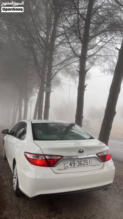 Toyota Camry XLE 3