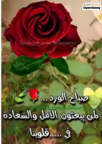 شقة للايجار في النجيلة 3