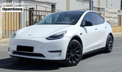 Tesla Model Y Long Range 2