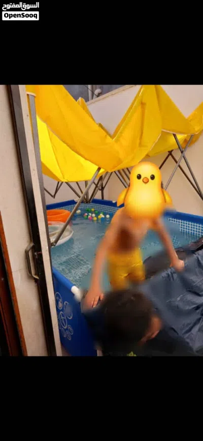 حوض سباحة للاطفال بسعر كزيوني 2