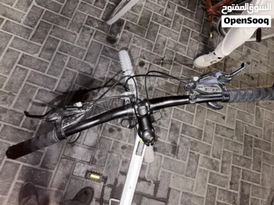 Spartan sports bicycle 3