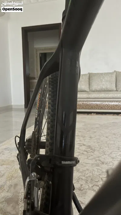 Trinx Carbon 3