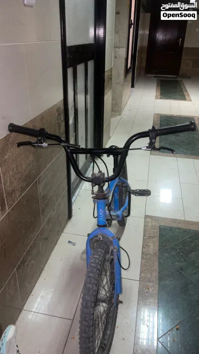 دراجة هوائية للاستعراض 2