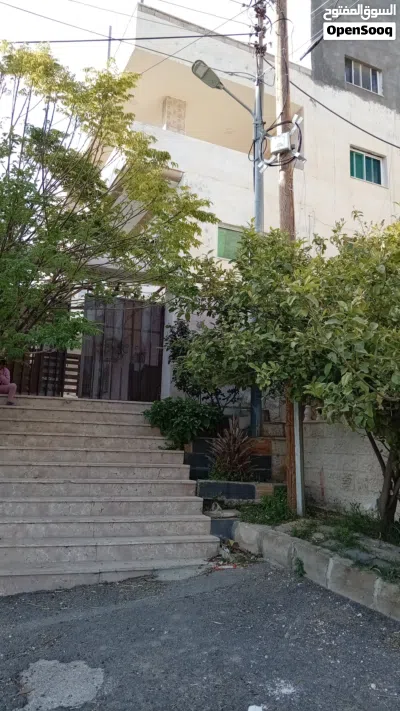 بدر الجديده. الرباحيه الجنوبيه 3