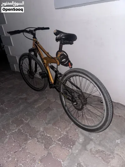 Flash Cycle for urgent sale 3