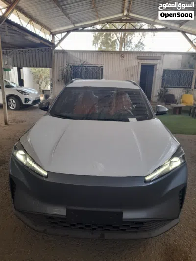 دونج فينج ميج EV 2