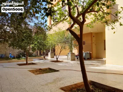 بيع حوش من دورين نظام شقتين 4