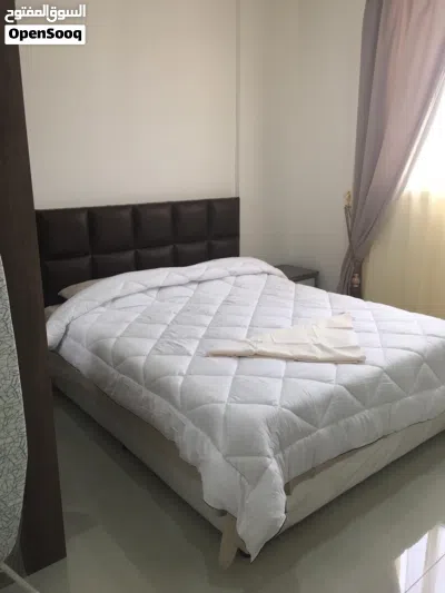 Fully Furnished 1BHK in Abu Halifa 4