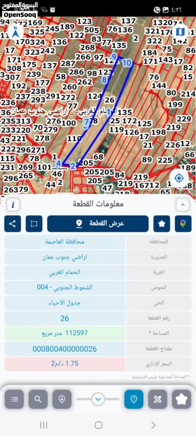 علي القطيفان 2