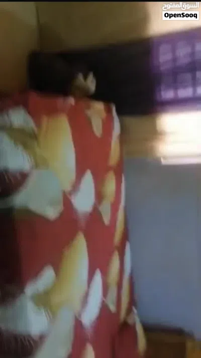 شقة للايجار الثورة 21 3