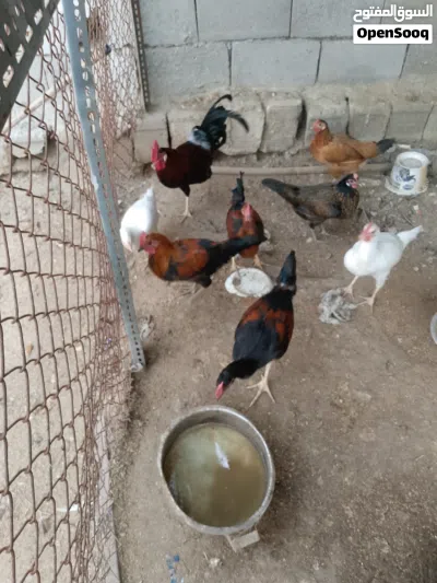 undefined 2
