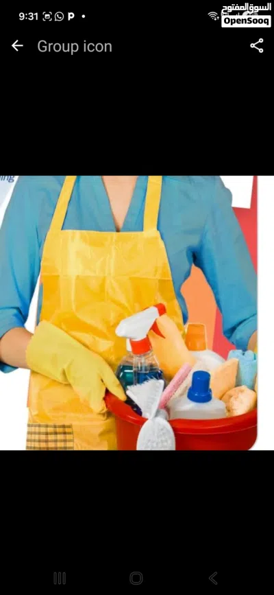 cleaning services 2