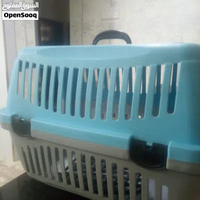 undefined 3